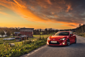 Toyota, Toyota GT86, GT86, Car, Sunset, Red Cars, Sheep, Farm