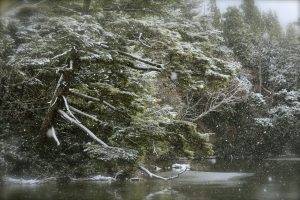 river, Winter, Landscape, Nature
