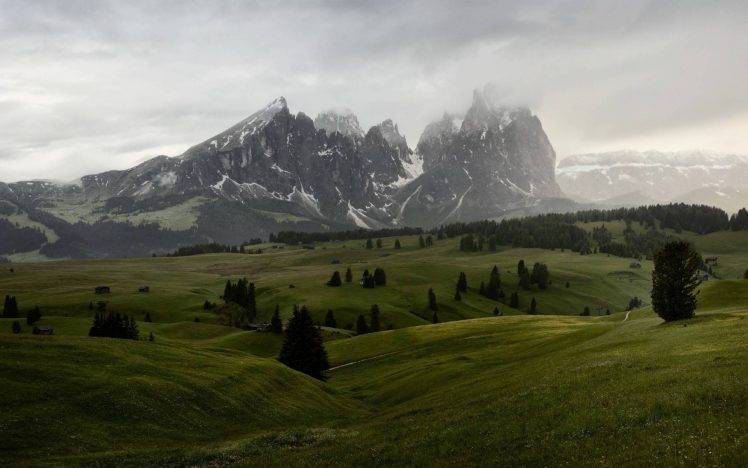 nature, Mountain, Forest, Landscape HD Wallpaper Desktop Background