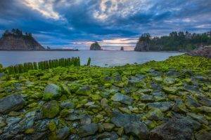 nature, Landscape, Water, Trees, Clouds, USA, Rock, Stones, Moss, Forest, Sea, Sunset, Morning, Olympic National Park