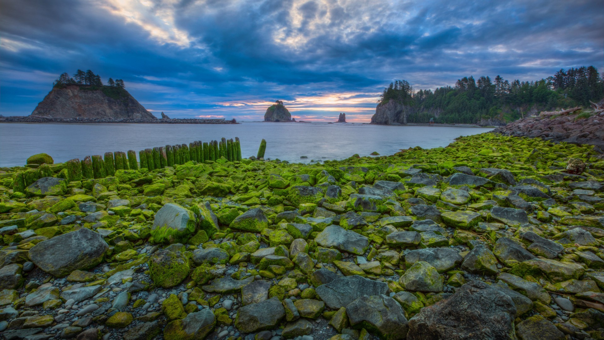 nature, Landscape, Water, Trees, Clouds, USA, Rock, Stones, Moss, Forest, Sea, Sunset, Morning, Olympic National Park Wallpaper