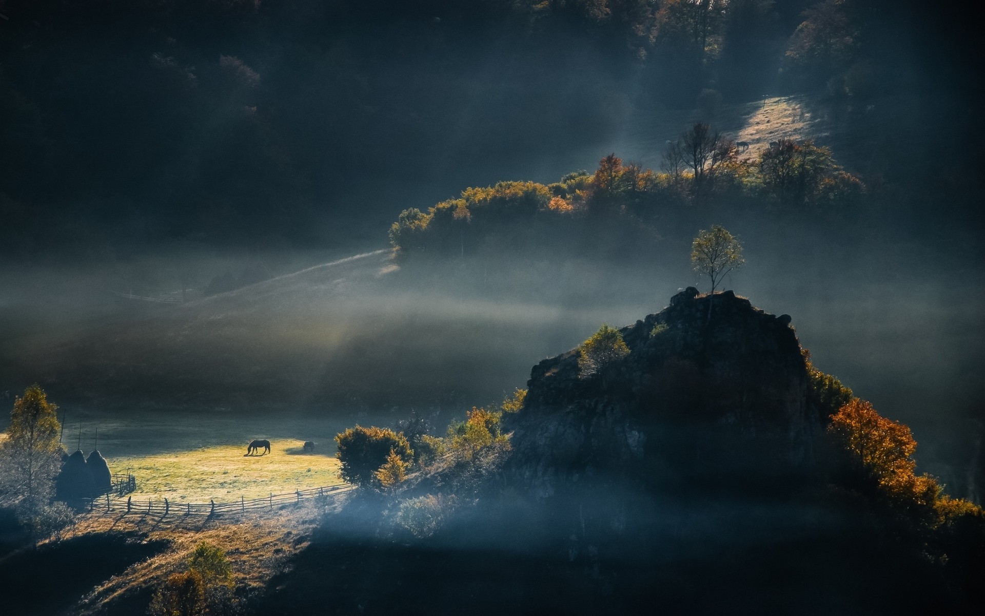 mist, Nature, Landscape, Sunrise, Field, Forest, Sun Rays, Horse, Fence Wallpaper