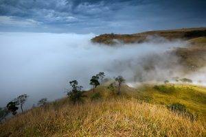 landscape, Mist