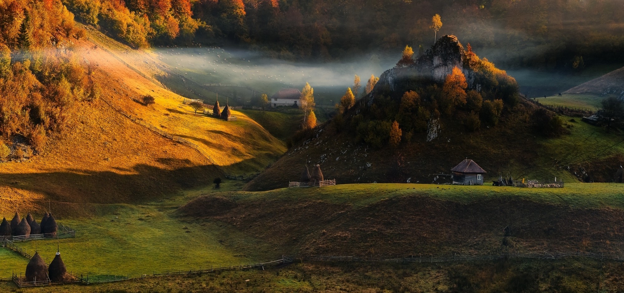 nature, Landscape, Hill, Forest, Fall, Sunrise, Mist, Villages, Fence Wallpaper