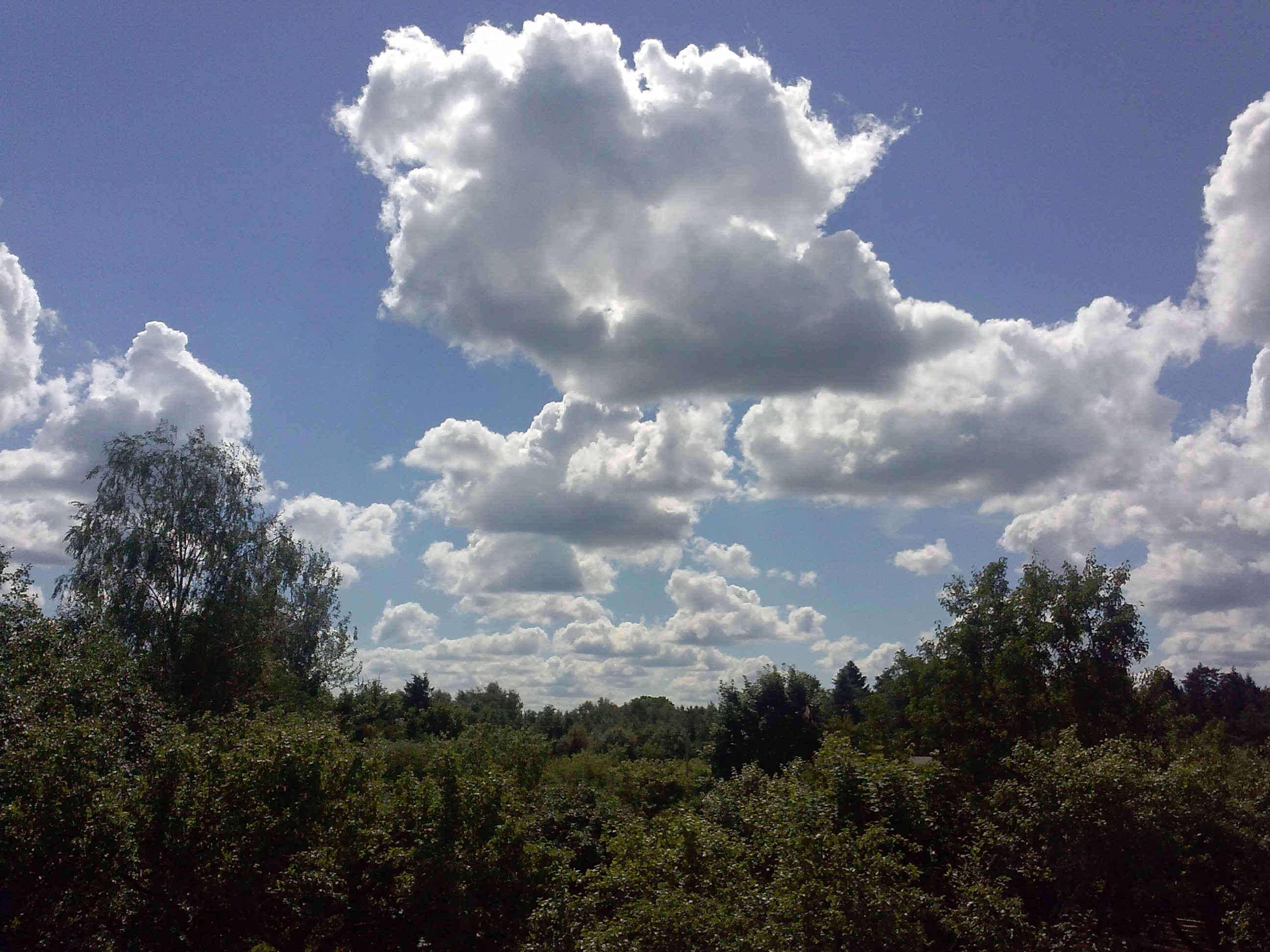 nature, Landscape, Trees, Summer, Sky, Clouds Wallpaper