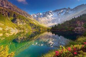nature, Landscape, Lake, Wildflowers, Mountain, Reflection, Forest, Water, Snowy Peak