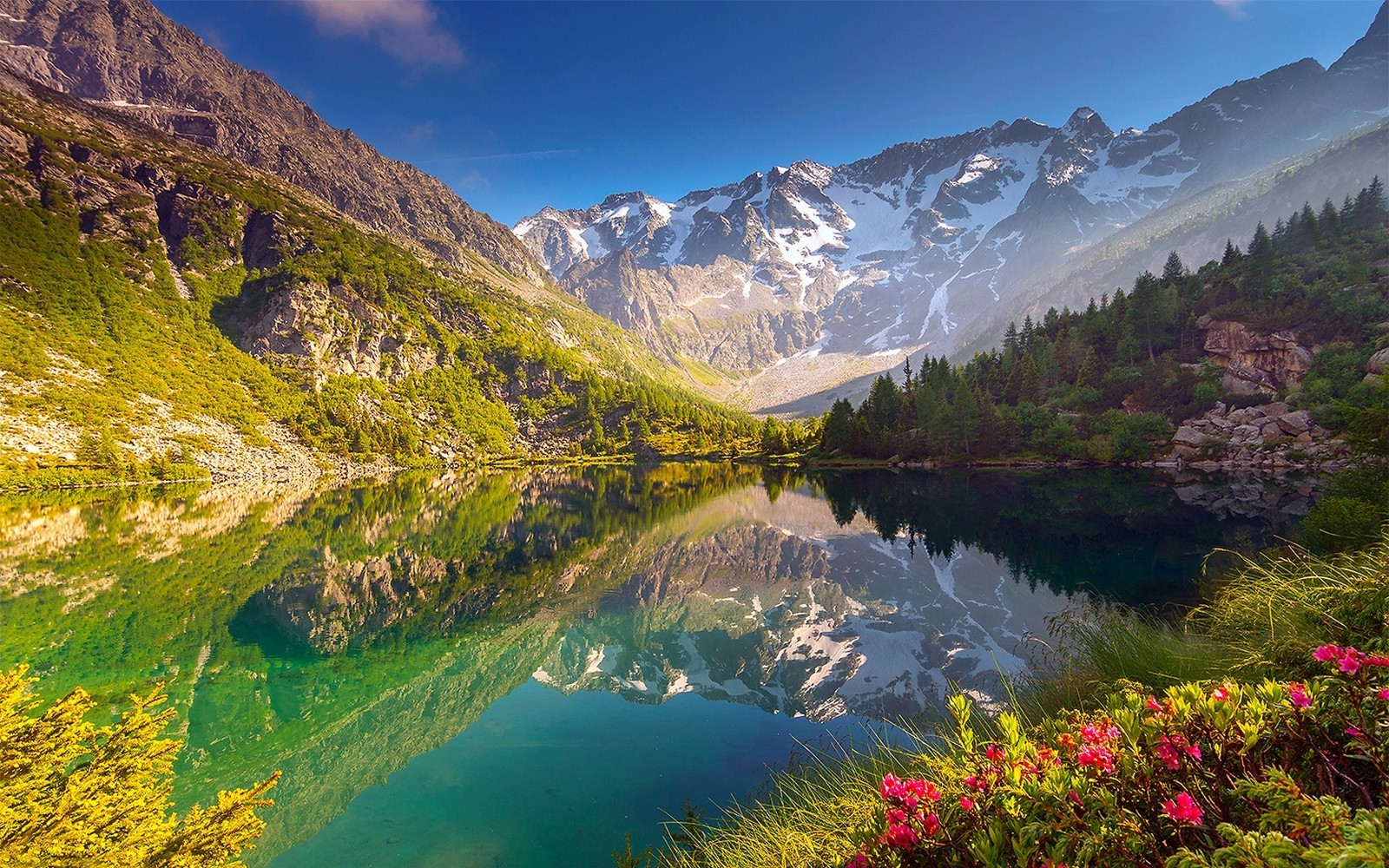 nature, Landscape, Lake, Wildflowers, Mountain, Reflection, Forest, Water, Snowy Peak Wallpaper