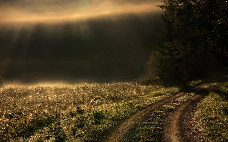 landscape, Nature, Sunrise, Mist, Road, Path, Trees, Grass, Sun Rays HD Wallpaper Desktop Background