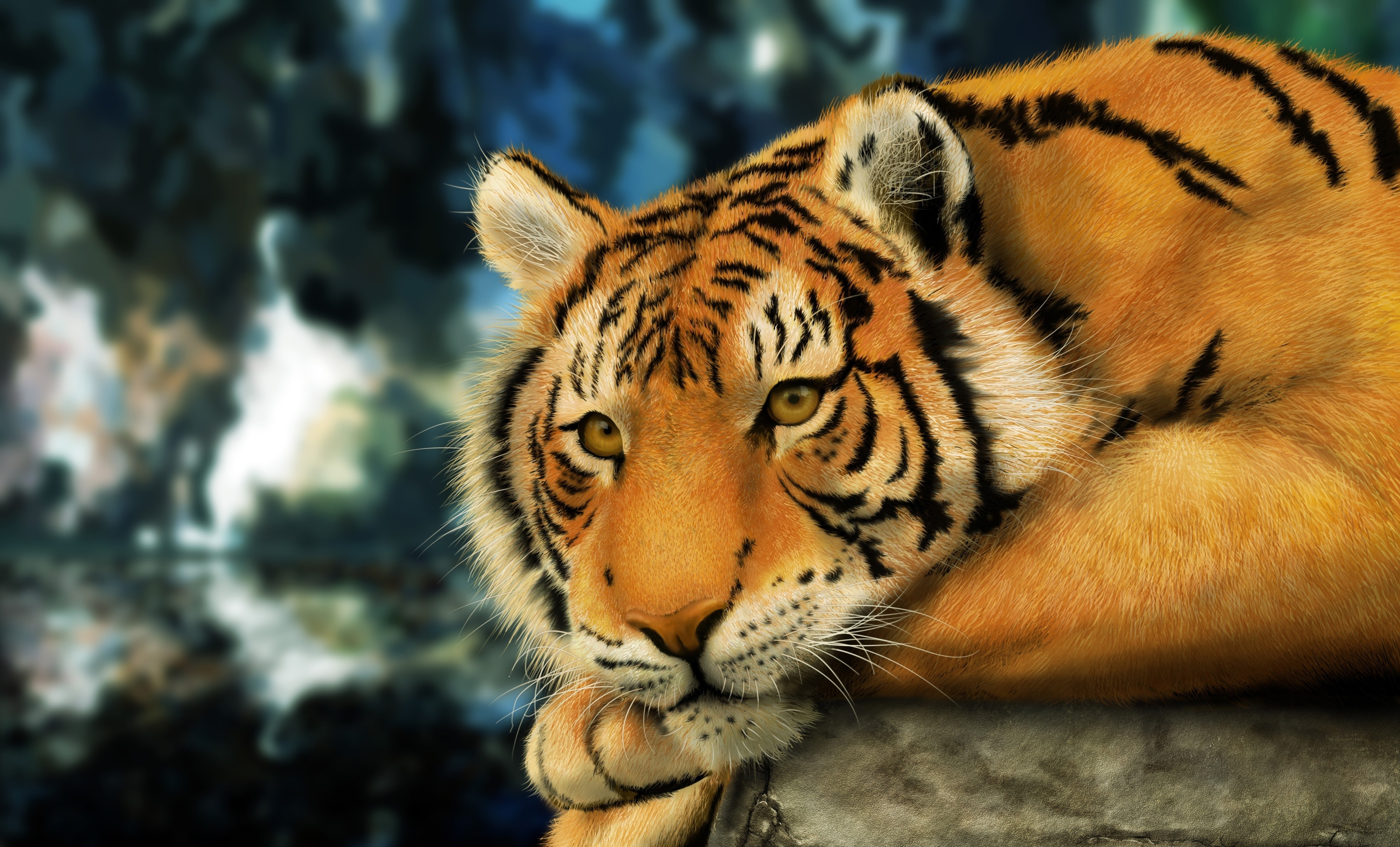 animals, Tiger Wallpaper