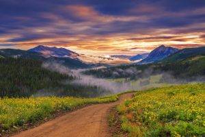 nature, Landscape, Sunset, Wildflowers, Valley, Road, Forest, Mountain, Clouds, Mist