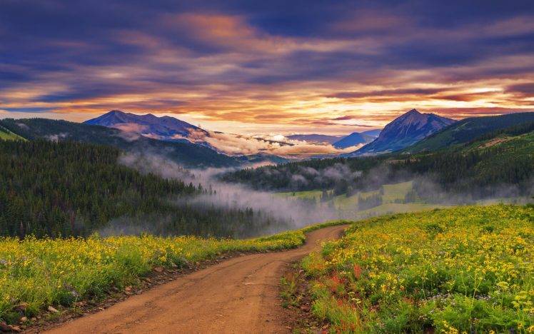 nature, Landscape, Sunset, Wildflowers, Valley, Road, Forest, Mountain, Clouds, Mist HD Wallpaper Desktop Background