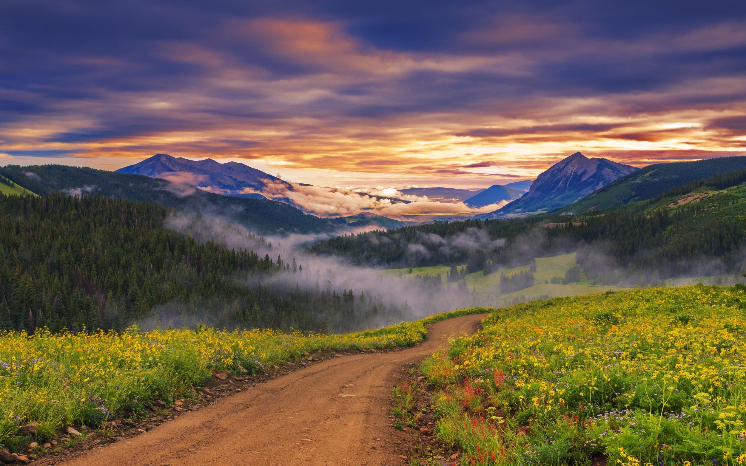 nature, Landscape, Sunset, Wildflowers, Valley, Road, Forest, Mountain, Clouds, Mist Wallpaper