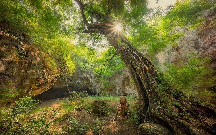 nature, Landscape, Sun Rays, Trees, Shrubs, Cave HD Wallpaper Desktop Background