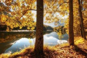 nature, Landscape, Fall, River, Leaves, Hill, Trees, Reflection, Yellow, Grass, Water