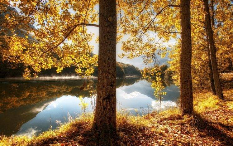 nature, Landscape, Fall, River, Leaves, Hill, Trees, Reflection, Yellow, Grass, Water HD Wallpaper Desktop Background