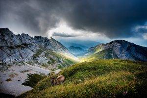mountain, Clouds, Ibex, Nature, Landscape, Paragliding, Valley, Grass, Mist