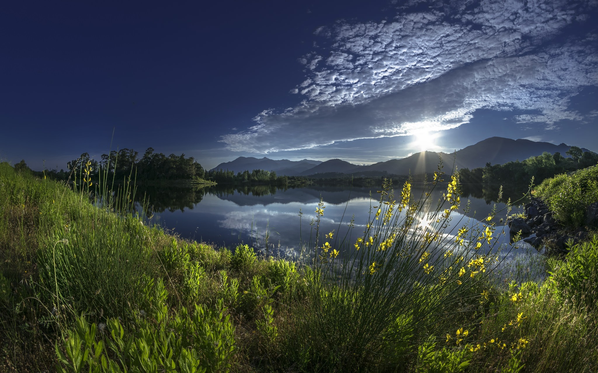 landscape Wallpaper