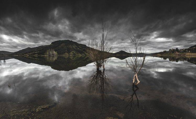 landscape, Nature, Lake, Reflection, Overcast, Clouds, Water, Trees, Dead Trees HD Wallpaper Desktop Background