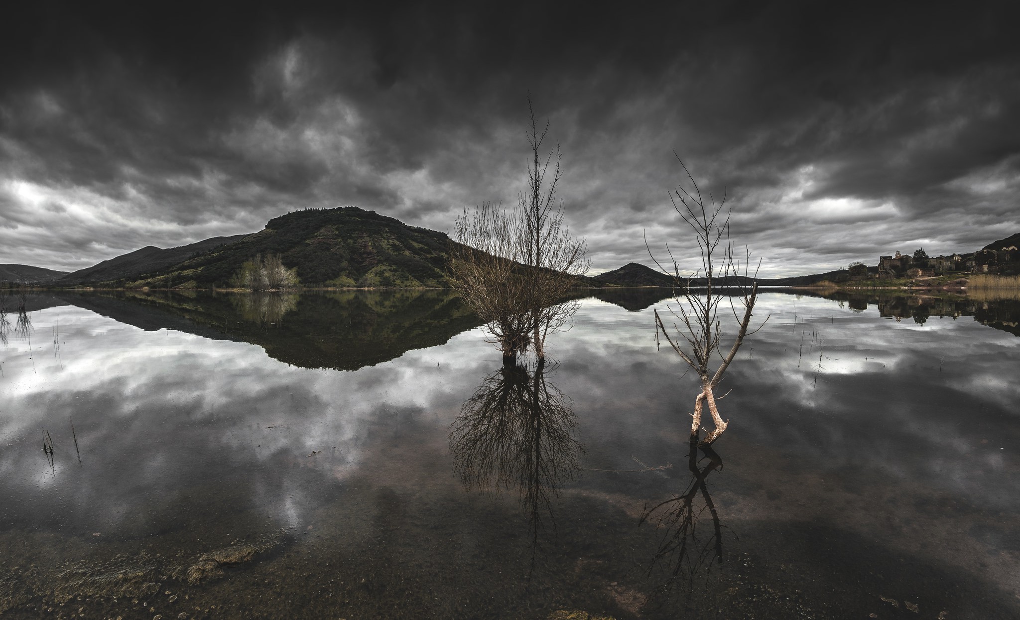 landscape, Nature, Lake, Reflection, Overcast, Clouds, Water, Trees, Dead Trees Wallpaper