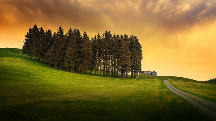 nature, Landscape, Trees, Hill, Clouds, Grass, Field, House, Road, Sunlight, HDR HD Wallpaper Desktop Background