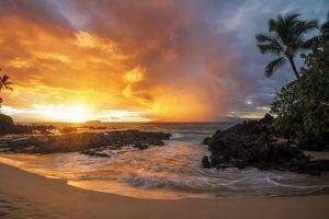 nature, Landscape, Sunset, Sand, Beach, Palm Trees, Sea, Rock, Clouds, Gold