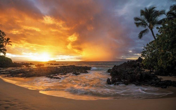 nature, Landscape, Sunset, Sand, Beach, Palm Trees, Sea, Rock, Clouds, Gold HD Wallpaper Desktop Background