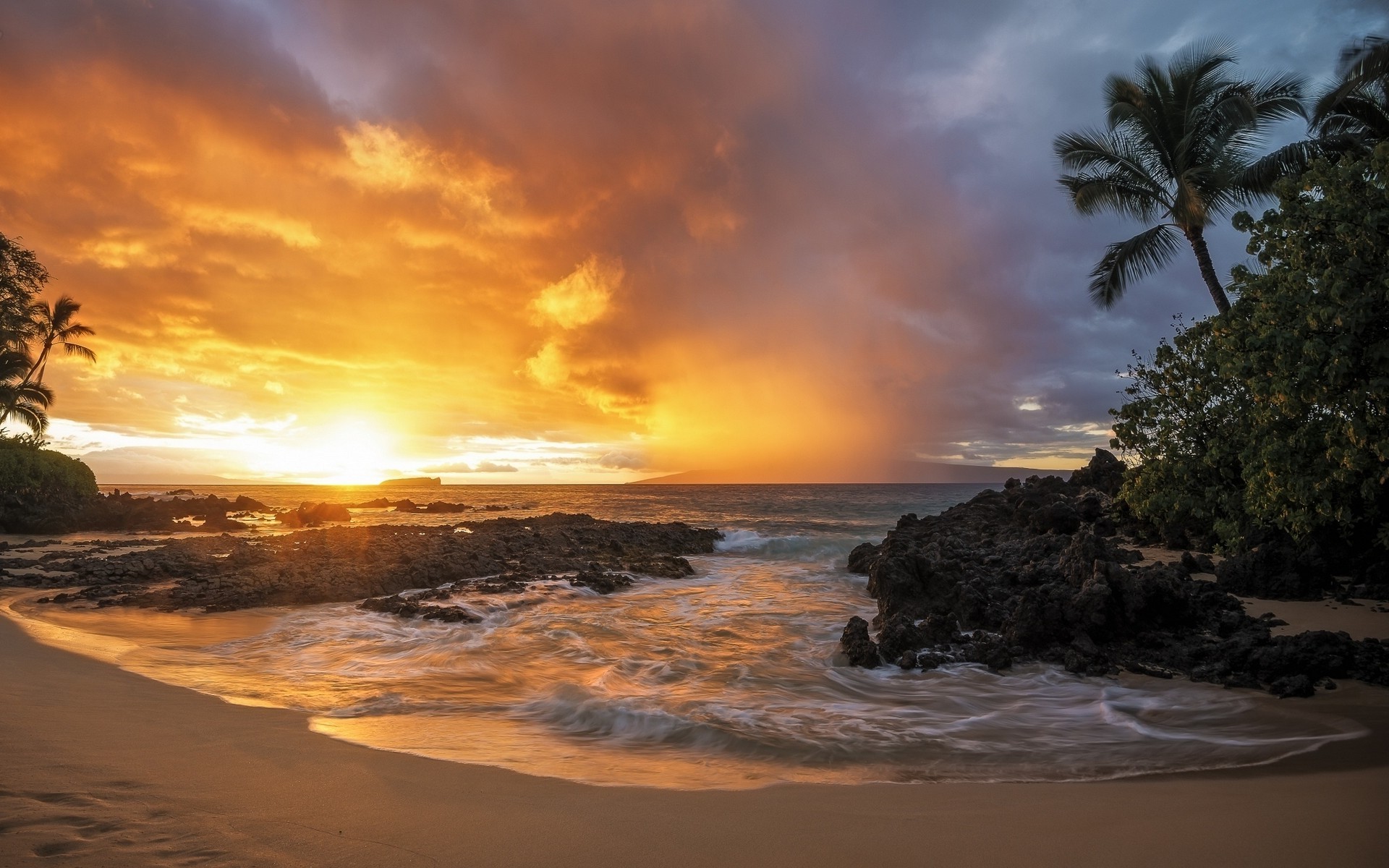 nature, Landscape, Sunset, Sand, Beach, Palm Trees, Sea, Rock, Clouds, Gold Wallpaper