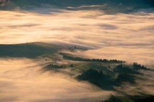 mist, Nature, Landscape, Sunrise, Forest, Hill, Field, Carpathians, Aerial View