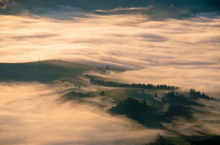 mist, Nature, Landscape, Sunrise, Forest, Hill, Field, Carpathians, Aerial View HD Wallpaper Desktop Background