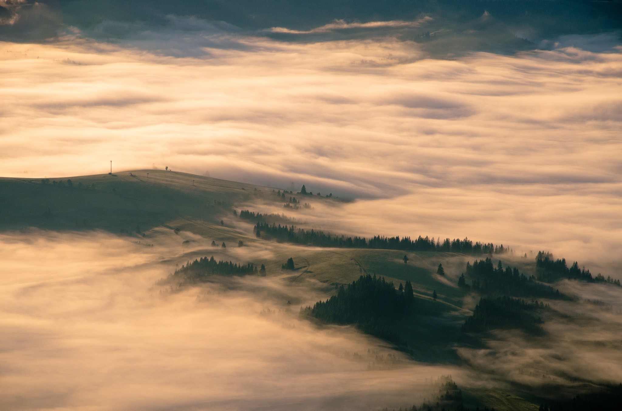 mist, Nature, Landscape, Sunrise, Forest, Hill, Field, Carpathians, Aerial View Wallpaper