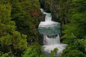 nature, Landscape, Chile, Forest, River, Waterfall, Canyon, Shrubs, Green, Trees