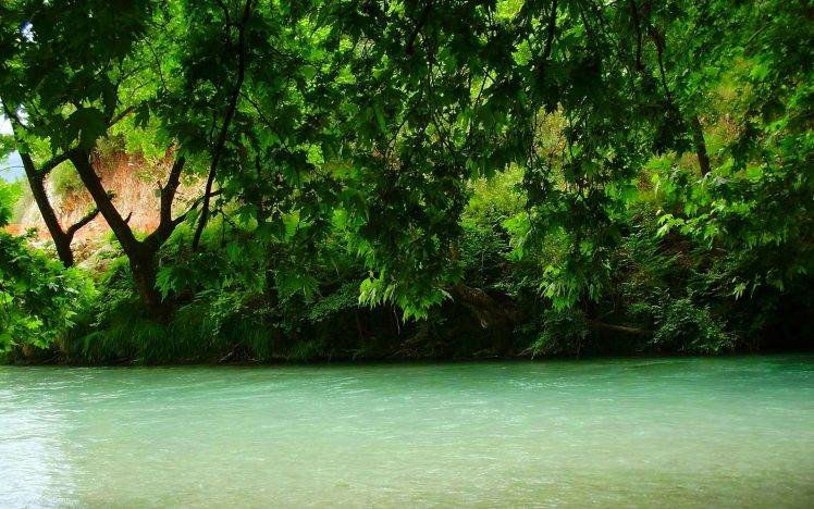 nature, Landscape, River, Greece, Trees, Green, Spring, Water, Shrubs HD Wallpaper Desktop Background