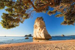 nature, Landscape, Beach, Trees, Sea, Sand, Rock, New Zealand