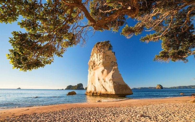 nature, Landscape, Beach, Trees, Sea, Sand, Rock, New Zealand HD Wallpaper Desktop Background