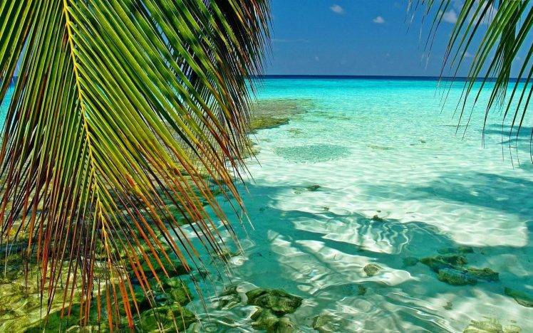 nature, Landscape, Maldives, Tropical, Sea, Palm Trees, Atolls, Leaves, Beach, Green, Turquoise, Summer HD Wallpaper Desktop Background