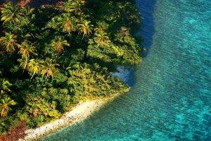 nature, Landscape, Aerial View, Island, Beach, Maldives, Tropical, Sea, Palm Trees, Foliage, Water, Morning