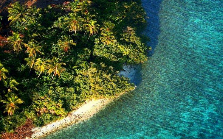 nature, Landscape, Aerial View, Island, Beach, Maldives, Tropical, Sea, Palm Trees, Foliage, Water, Morning HD Wallpaper Desktop Background