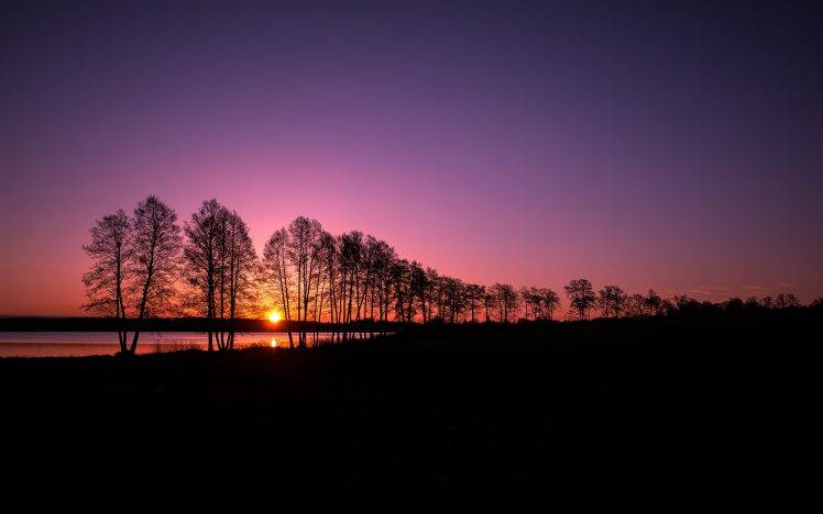 landscape, Nature, Silhouette, Trees, Clear Sky, Sunset, Evening, Lake HD Wallpaper Desktop Background