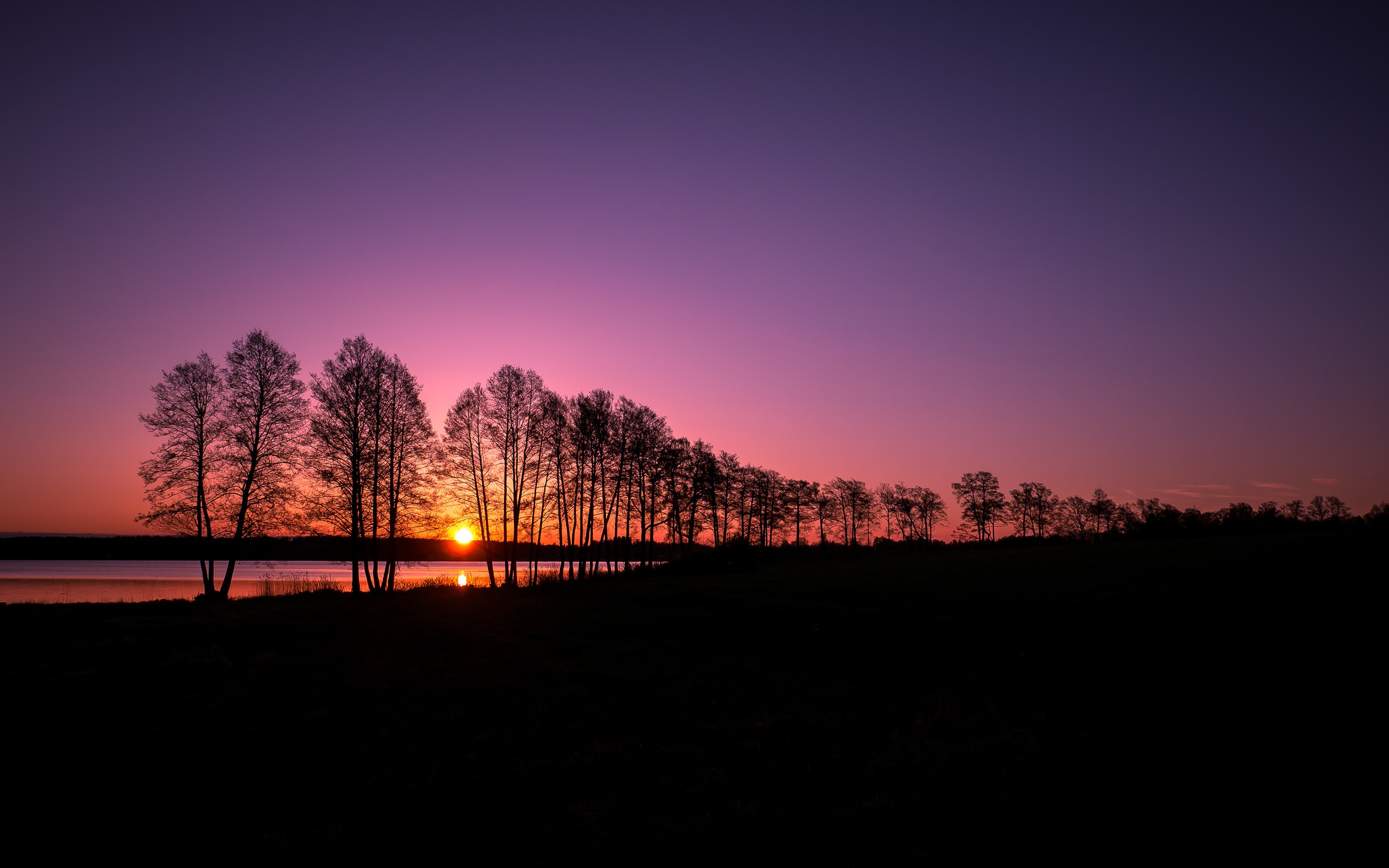 landscape, Nature, Silhouette, Trees, Clear Sky, Sunset, Evening, Lake Wallpaper
