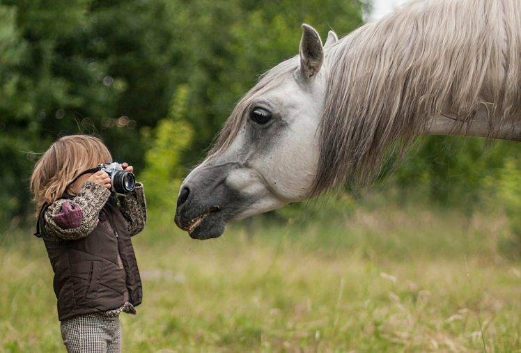 animals, Horse, Camera, Children HD Wallpaper Desktop Background