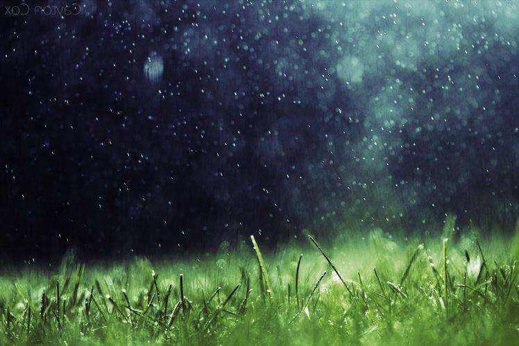 artwork, Nature, Rain, Grass HD Wallpaper Desktop Background