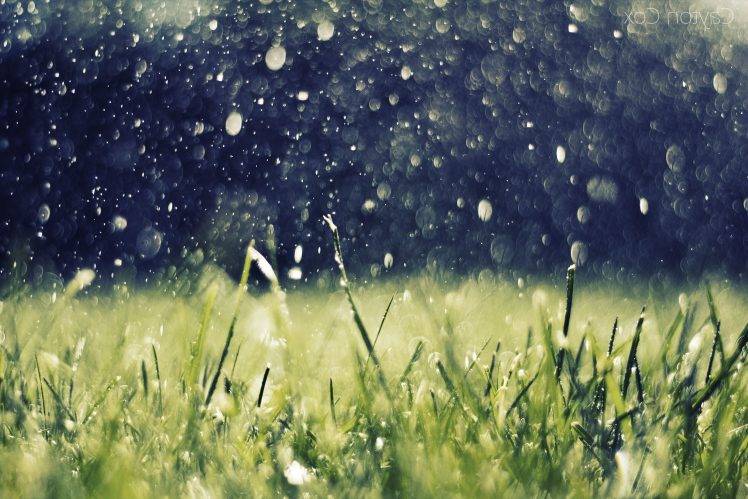 artwork, Nature, Rain, Grass, Water Drops HD Wallpaper Desktop Background