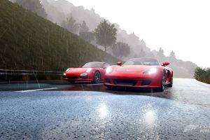Forza Horizon 2, Porsche Carrera GT, Video Games