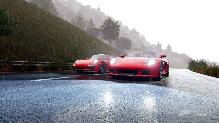Forza Horizon 2, Porsche Carrera GT, Video Games HD Wallpaper Desktop Background