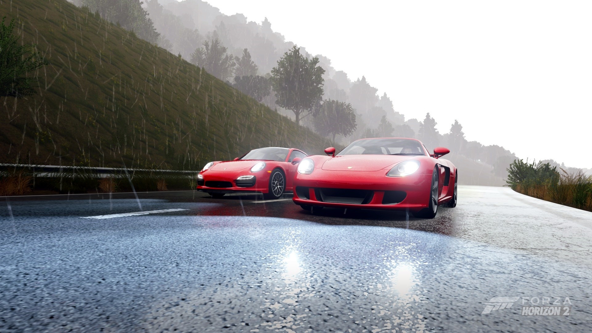 Forza Horizon 2, Porsche Carrera GT, Video Games Wallpaper