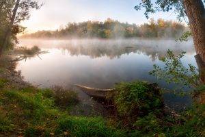 nature, Landscape, Trees, Forest, Clouds, Water, Lake, Mist, Grass, Plants, Reflection, Branch, Morning