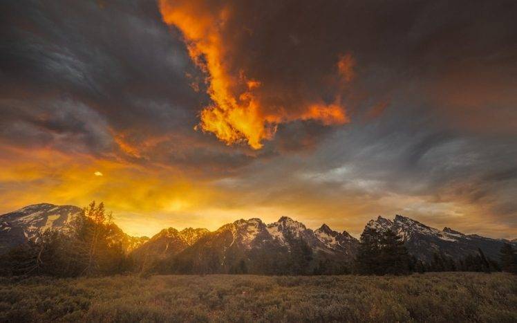 nature, Landscape, Mist, Mountain, Grand Teton National Park, Sunrise, Snowy Peak, Clouds, Grass, Trees HD Wallpaper Desktop Background