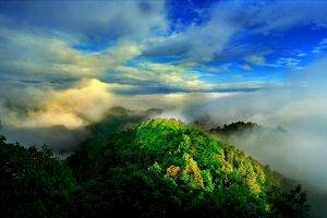 nature, Landscape, Mist, Sunrise, Mountain, Forest, Clouds