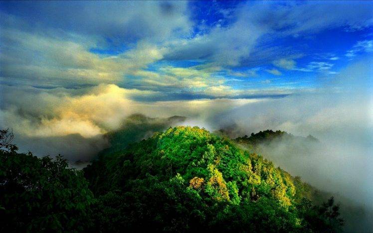 nature, Landscape, Mist, Sunrise, Mountain, Forest, Clouds HD Wallpaper Desktop Background