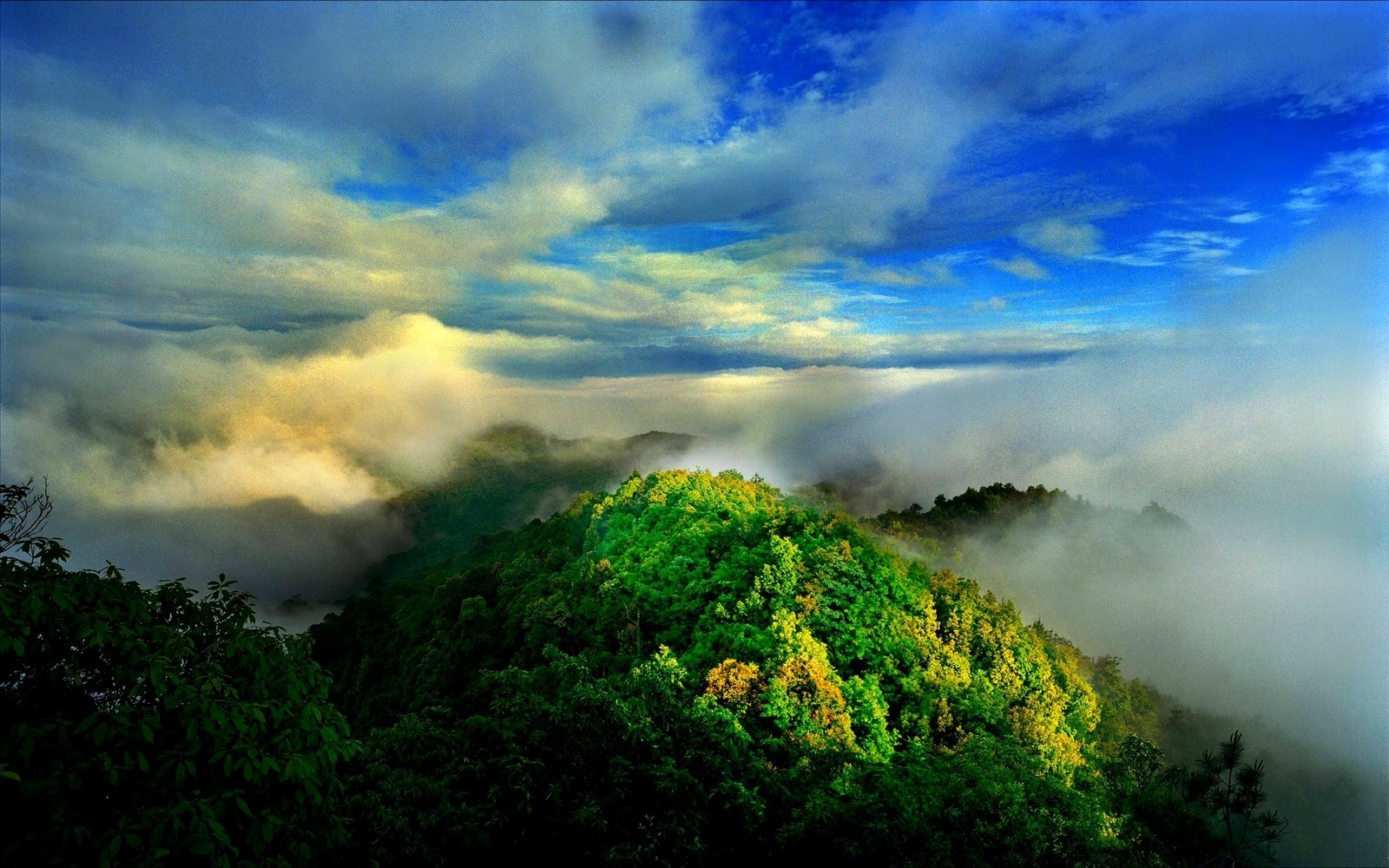 nature, Landscape, Mist, Sunrise, Mountain, Forest, Clouds Wallpaper